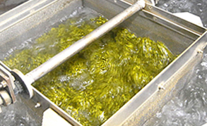 緑豆を熱滅菌機で滅菌している写真